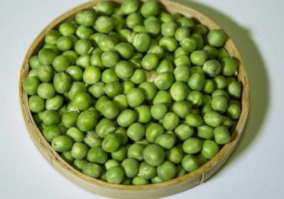芹菜不能和什么食物一起吃
