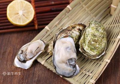 生蚝哪里不能吃