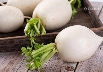吃中药不能吃什么食物