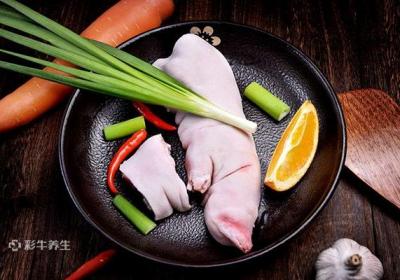 杏不能和什么同食