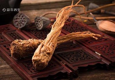 女人吃当归的禁忌
