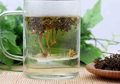 人参花泡水喝的禁忌