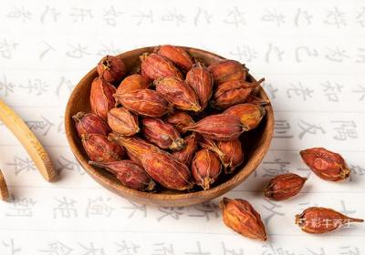栀子泡水喝的禁忌