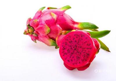 经期可以吃火龙果吗