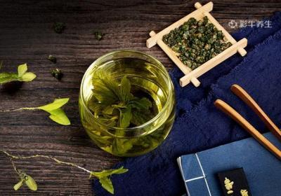 桑叶茶不适合什么人喝