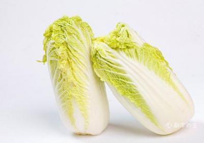 吃鹿茸的禁忌什么食物