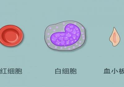 平均血小板体积偏低是什么意思