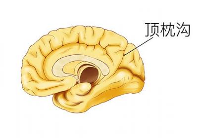 轻微脑震荡症状