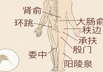 哪些中药治疗腰间盘突出
