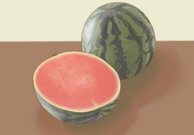 入伏吃什么比较好