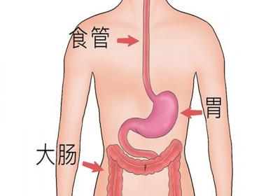喝三七粉养胃还是伤胃
