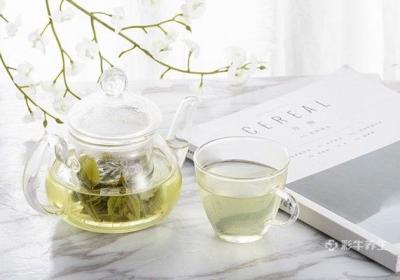 绿茶什么时候喝最好