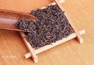 普洱茶什么季节喝