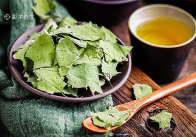 喝荷叶茶有什么好处和坏处