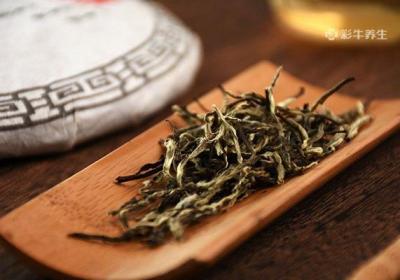 什么季节喝白茶比较好
