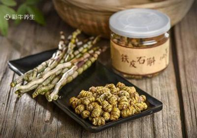 铁皮石斛适合什么人吃
