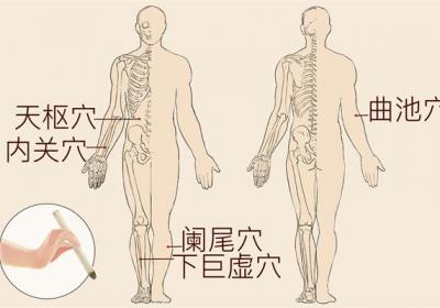 人的阑尾在什么位置