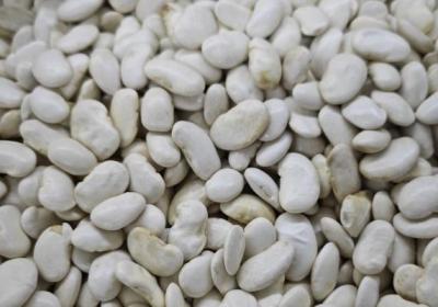白豆的功效与作用、禁忌和食用方法