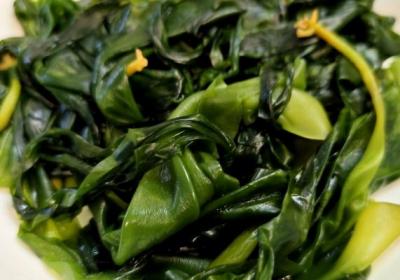 地耳的功效与作用、禁忌和食用方法