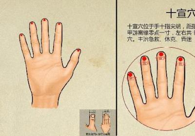中医甲亢的治疗有哪些