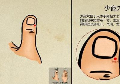 中医治疗早些泄能治好吗