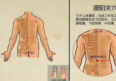 中医痔疮是怎么引起的