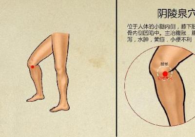 中医四诊指的是什么