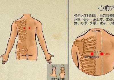 中医有关人的九种体质是什么