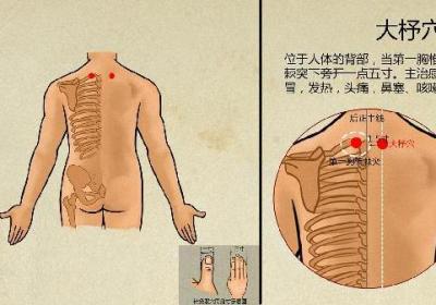 中医用什么方法治疗心衰