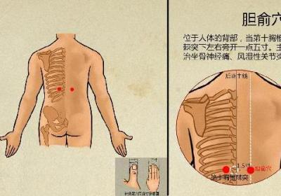 中医如何治疗脱发