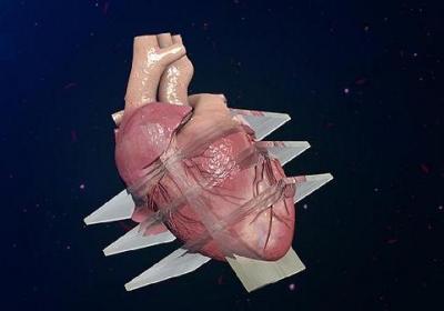 心脏房颤的中医疗法