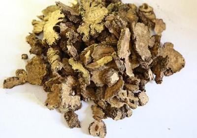 川芎的功效与作用是什么