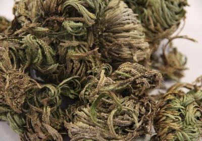 喝中药一个月瘦了20斤正常吗