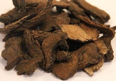 肉苁蓉怎么吃壮阳最好
