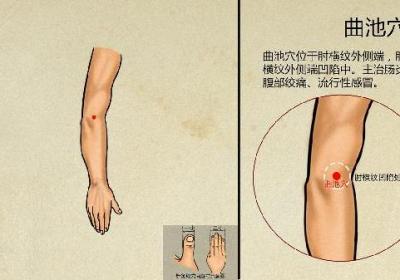 中医针灸疗法在疼痛管理中的应用 疼痛针灸治疗学