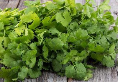 冬季四款药膳助你补血补肾的食物 吃什么东西补肾
