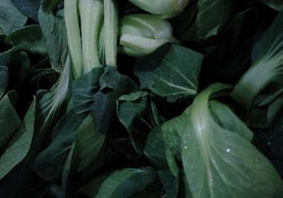 冬季暖胃又好吃的菜品