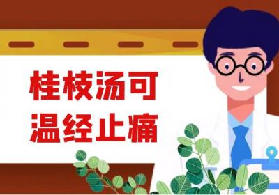 关于桂枝汤的功效与作用及禁忌你了解多少？