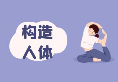 惊！蛋白质竟有这么多作用！|蛋白质的作用与功效