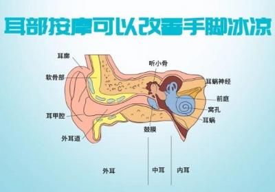 关于耳部按摩的好处你了解多少？