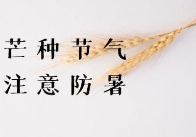 在芒种节气如何养生呢？需要注意以下几点