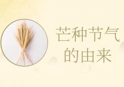 芒种节气的含义与由来分别是什么呢？