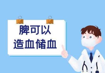 脾的作用和功能是什么？主要有以下三大功能！