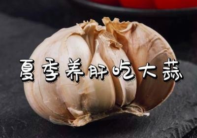 夏季养肝可以吃什么呢？哪些食物必不可少？