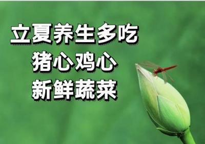 立夏节气的养生之道重在养心守阳