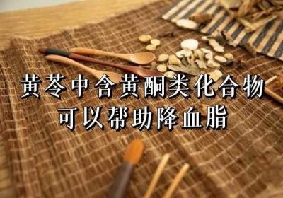 这几味降血脂的中药你知道吗？