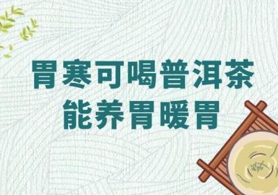 胃寒人群喝的茶有哪些？这5种茶可以帮助肠胃祛除寒气