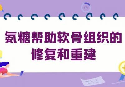 什么是氨糖？氨糖的功效与作用有哪些呢？