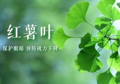 红薯叶的功效和作用有哪些？很多人都不知道