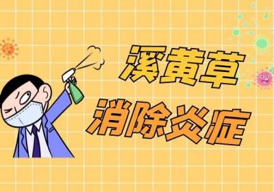 溪黄草的功效和作用具体有哪些？溪黄草是什么？
